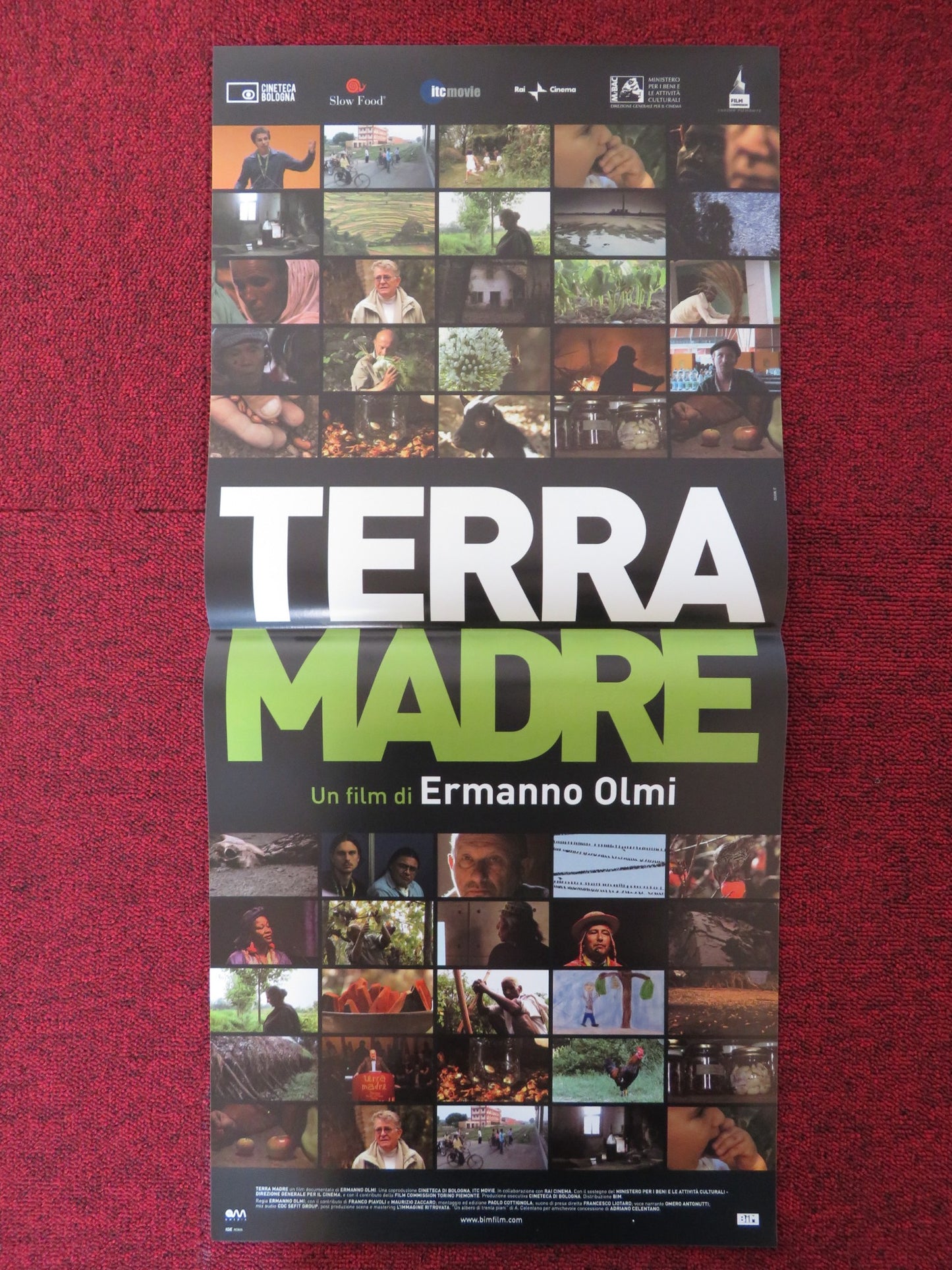 TERRA MADRE ITALIAN LOCANDINA POSTER AMPELLO BUCCI STEFANO GATTI 2009