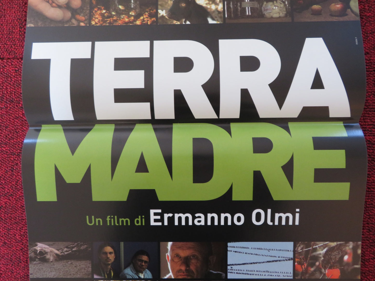 TERRA MADRE ITALIAN LOCANDINA POSTER AMPELLO BUCCI STEFANO GATTI 2009