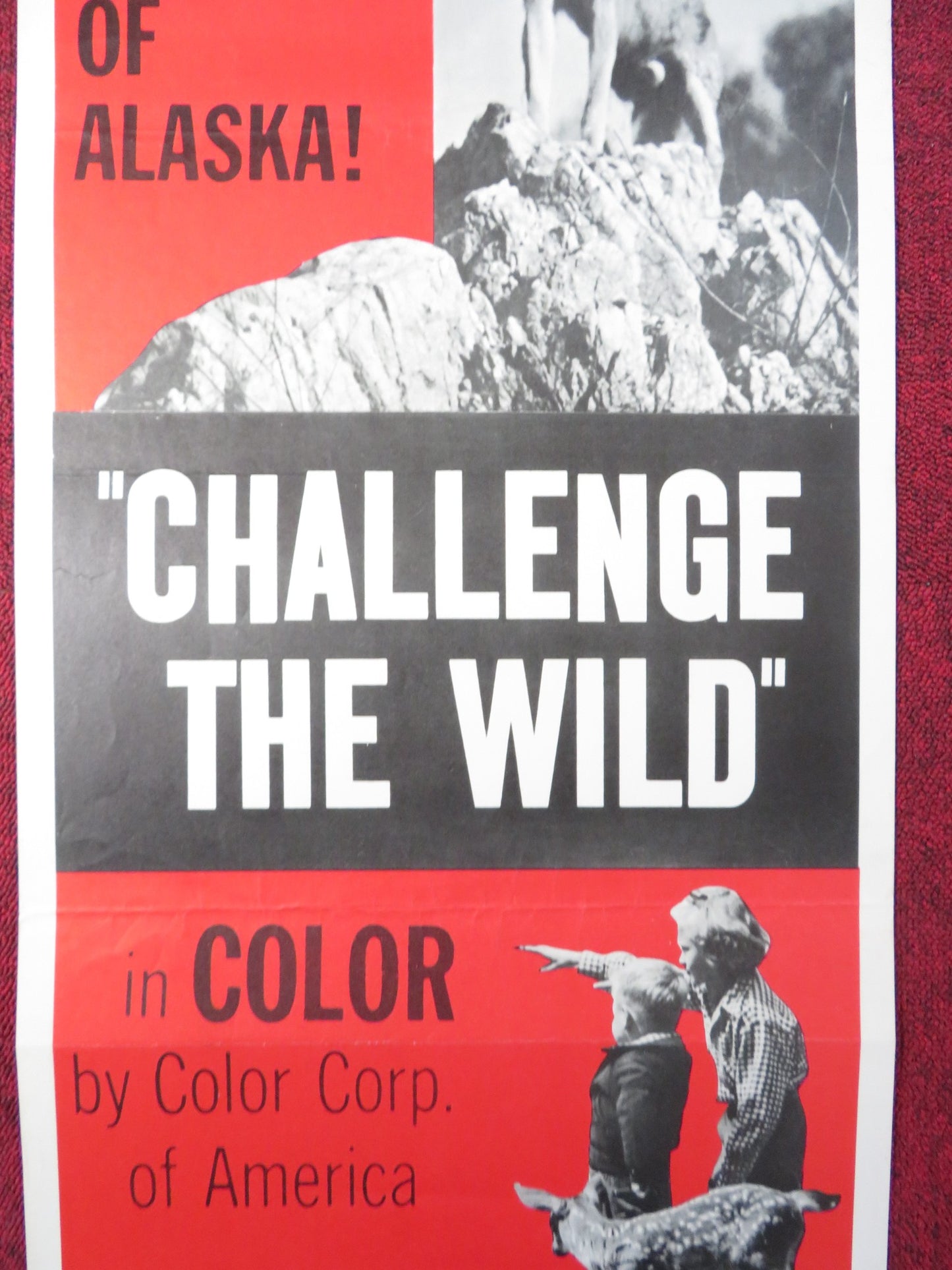 CHALLENGE THE WILD US INSERT (14"x 36") POSTER GEORGE GRAHAM SHEILAH GRAHAM 1954