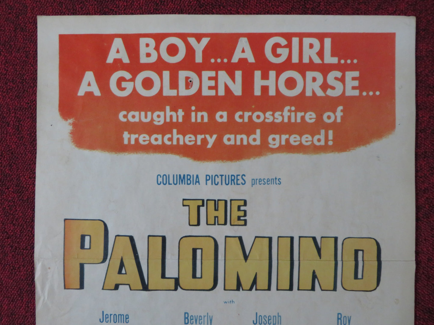 THE PALOMINO US INSERT (14"x 36") POSTER JEROME COURTLAND BEVERLY TYLER 1950