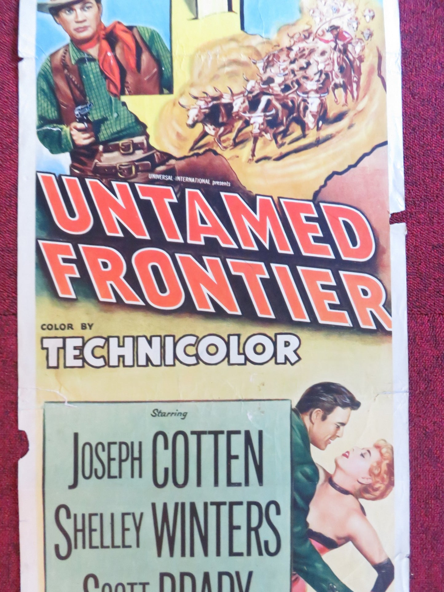 UNTAMED FRONTIER US INSERT (14"x 36") POSTER JOSEPH COTTEN SHELLEY WINTERS 1952