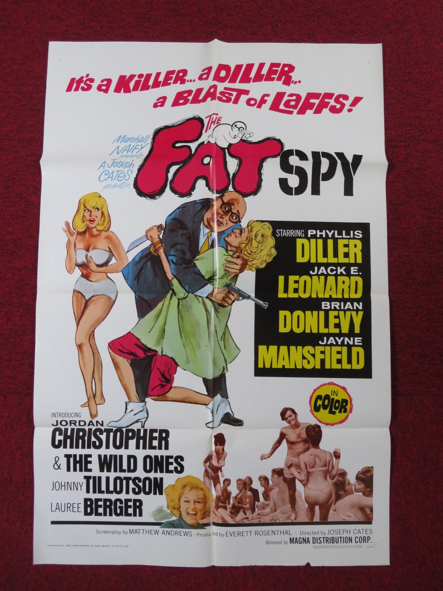 THE FAT SPY FOLDED US ONE SHEET POSTER JORDAN CHRISTOPHER JOHNNY TILLOTSON 1966