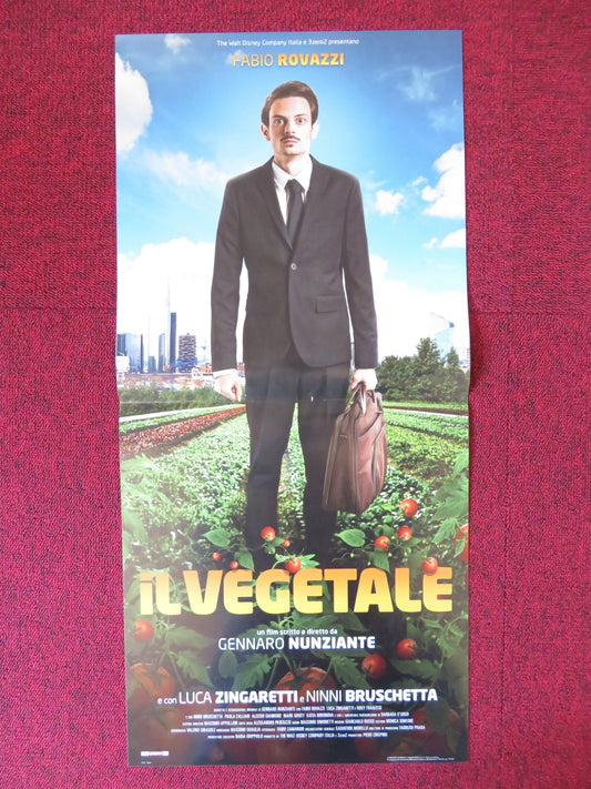 IL VEGETALE ITALIAN LOCANDINA POSTER LUCA ZINGARETTI  2018