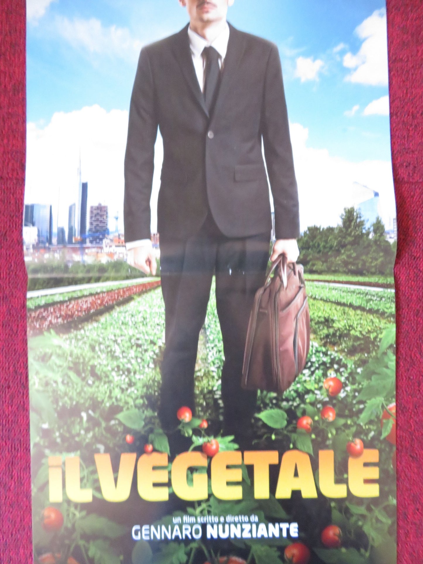 IL VEGETALE ITALIAN LOCANDINA POSTER LUCA ZINGARETTI  2018