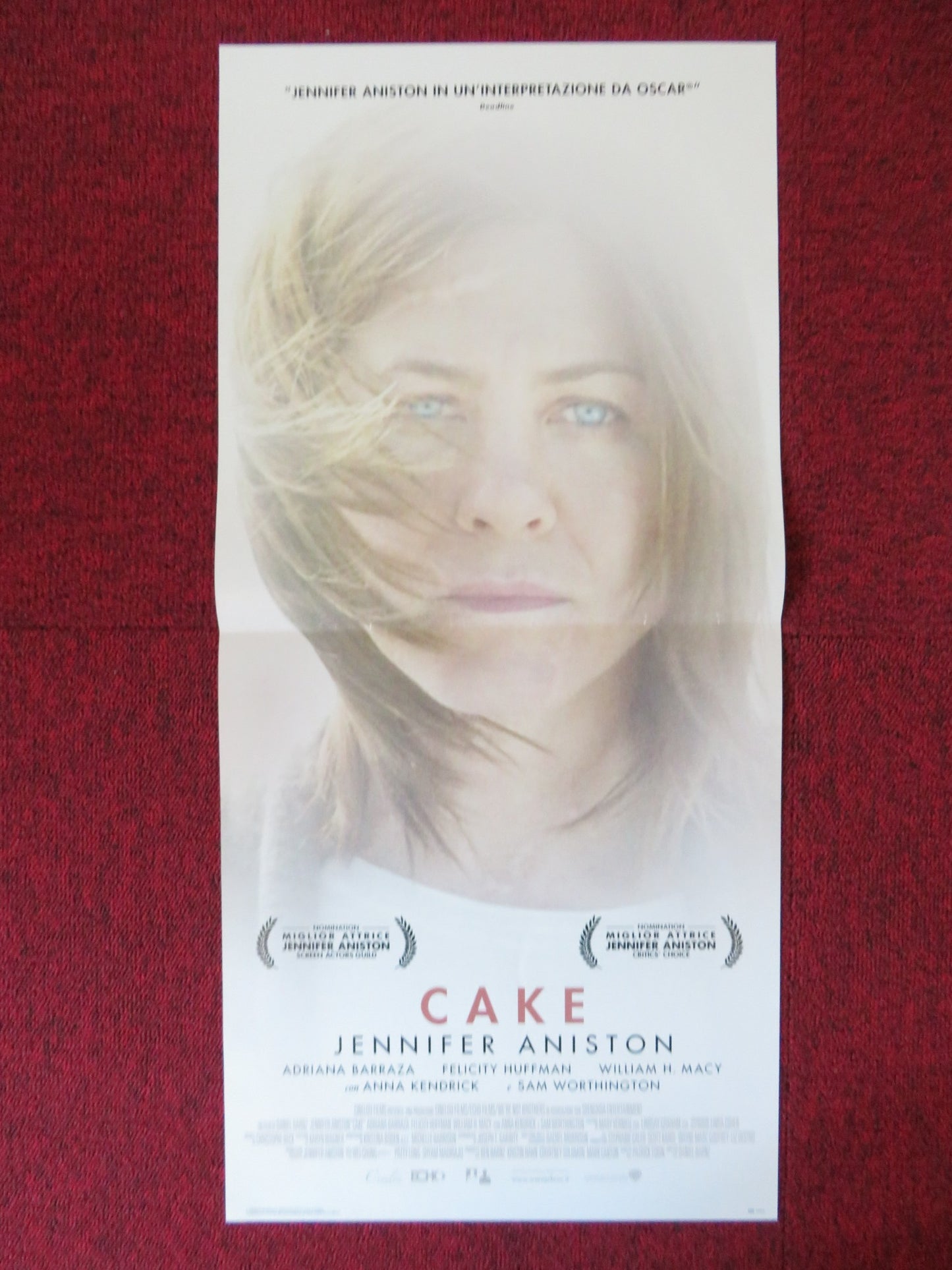 CAKE ITALIAN LOCANDINA POSTER JENNIFER ANISTON 2014