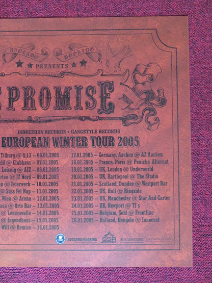 THE PROMISE US MUSIC PROMO TOUR POSTER 2005