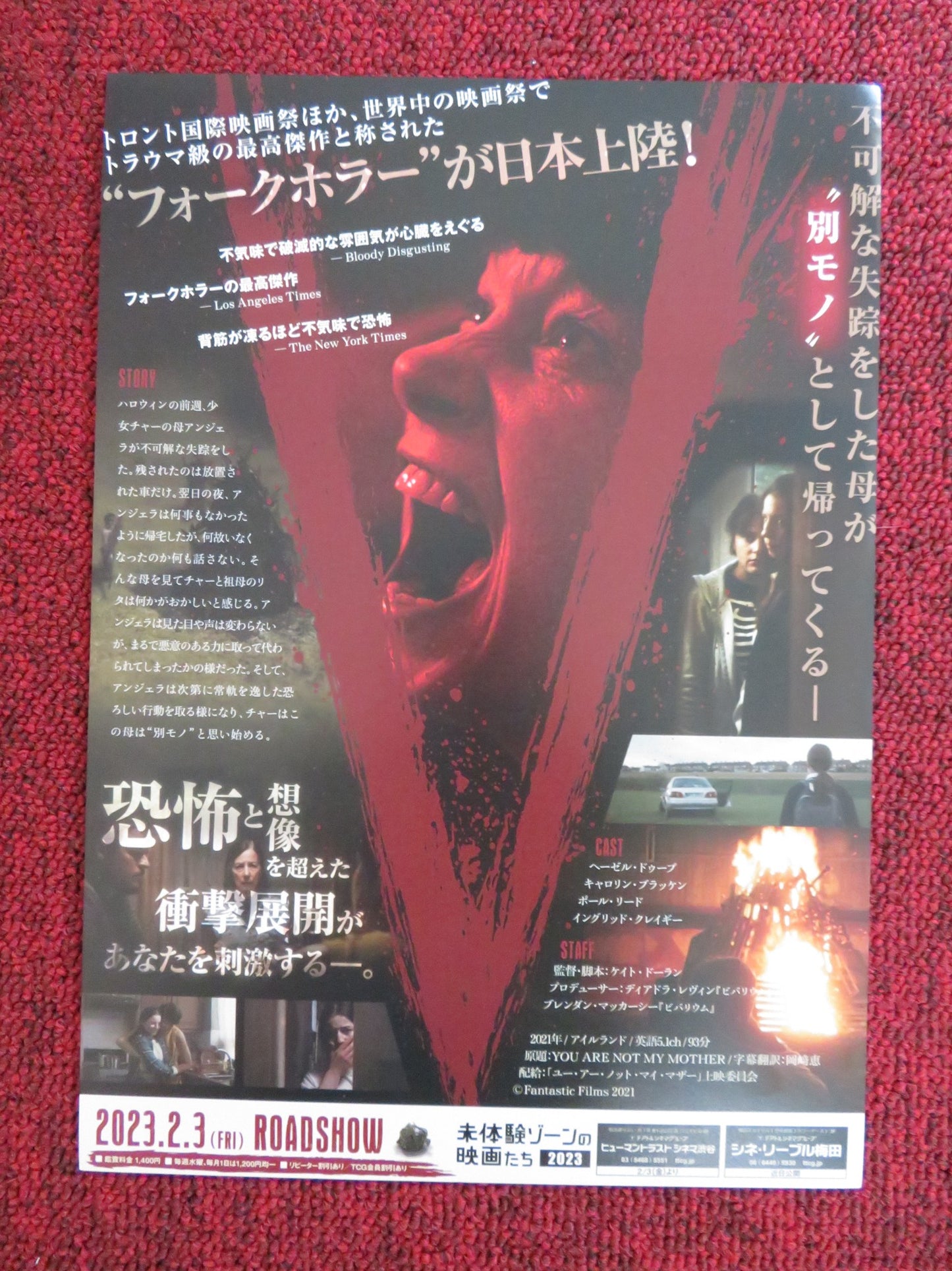 YOU ARE NOT MY MOTHER JAPANESE CHIRASHI (B5) POSTER HAZEL DOUPE BRACKEN 2021