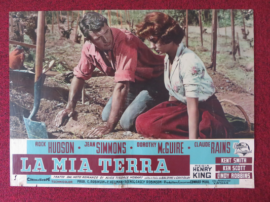 THIS EARTH IS MINE - B ITALIAN FOTOBUSTA POSTER ROCK HUDSON JEAN SIMMONS 1959