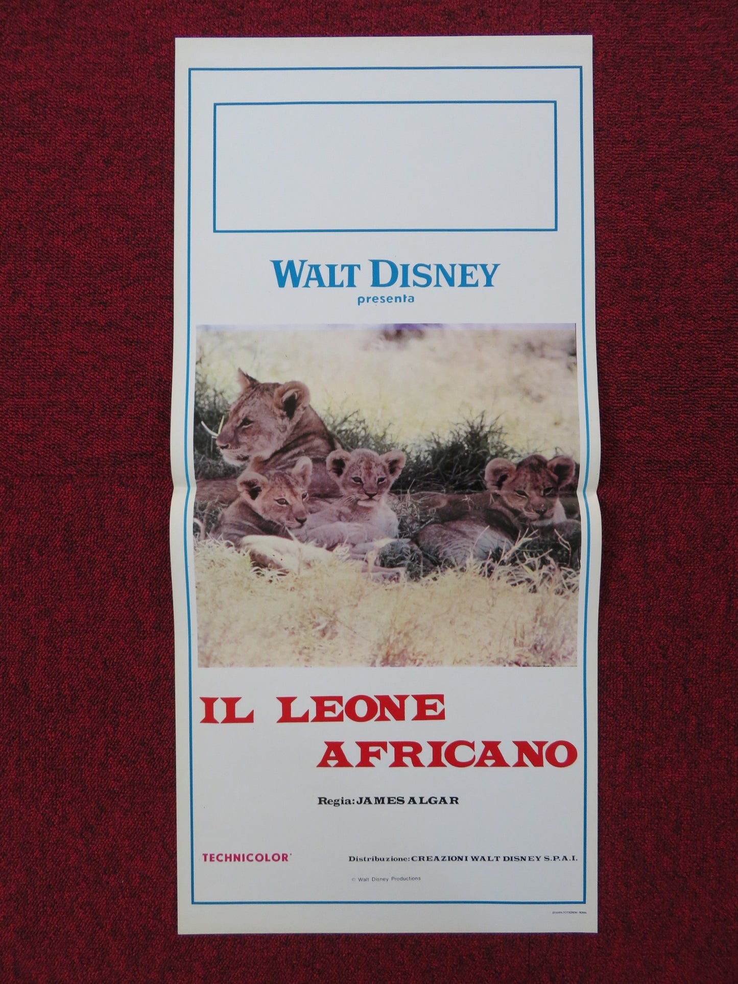 THE AFRICAN LION ITALIAN LOCANDINA POSTER DISNEY JAMES ALGAR 1957