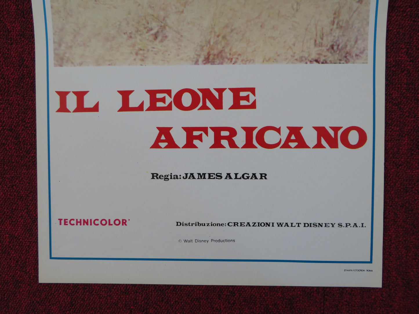 THE AFRICAN LION ITALIAN LOCANDINA POSTER DISNEY JAMES ALGAR 1957