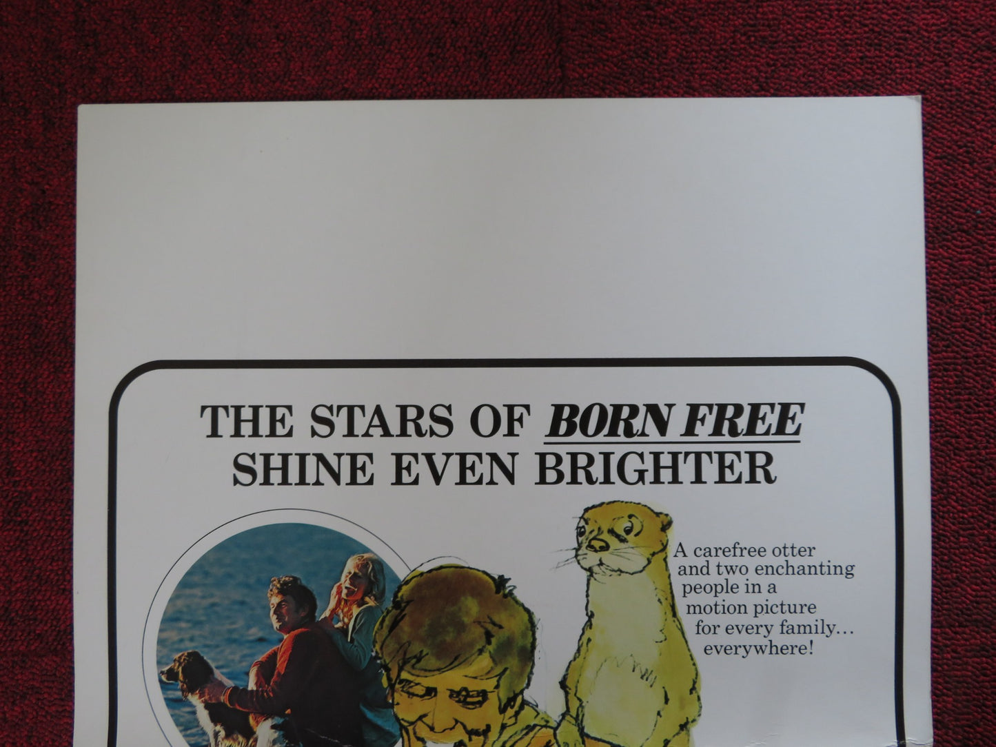 RING OF BRIGHT WATER WINDOW CARD (14"x 22") POSTER BILL TRAVERS V. MCKENNA 1969