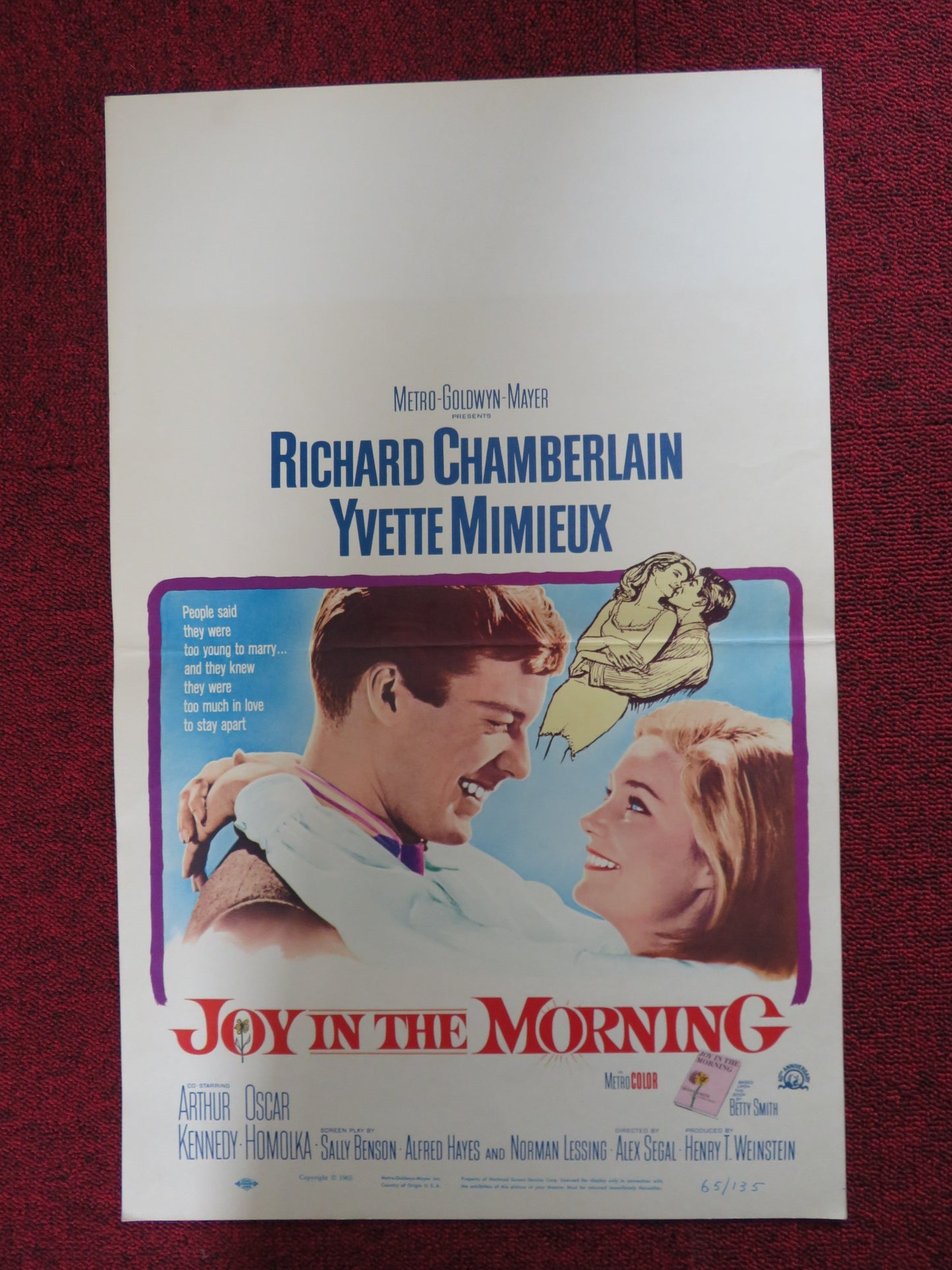 JOY IN THE MORNING WINDOW CARD (14"x 22") POSTER RICHARD CHAMBERLAIN 1965