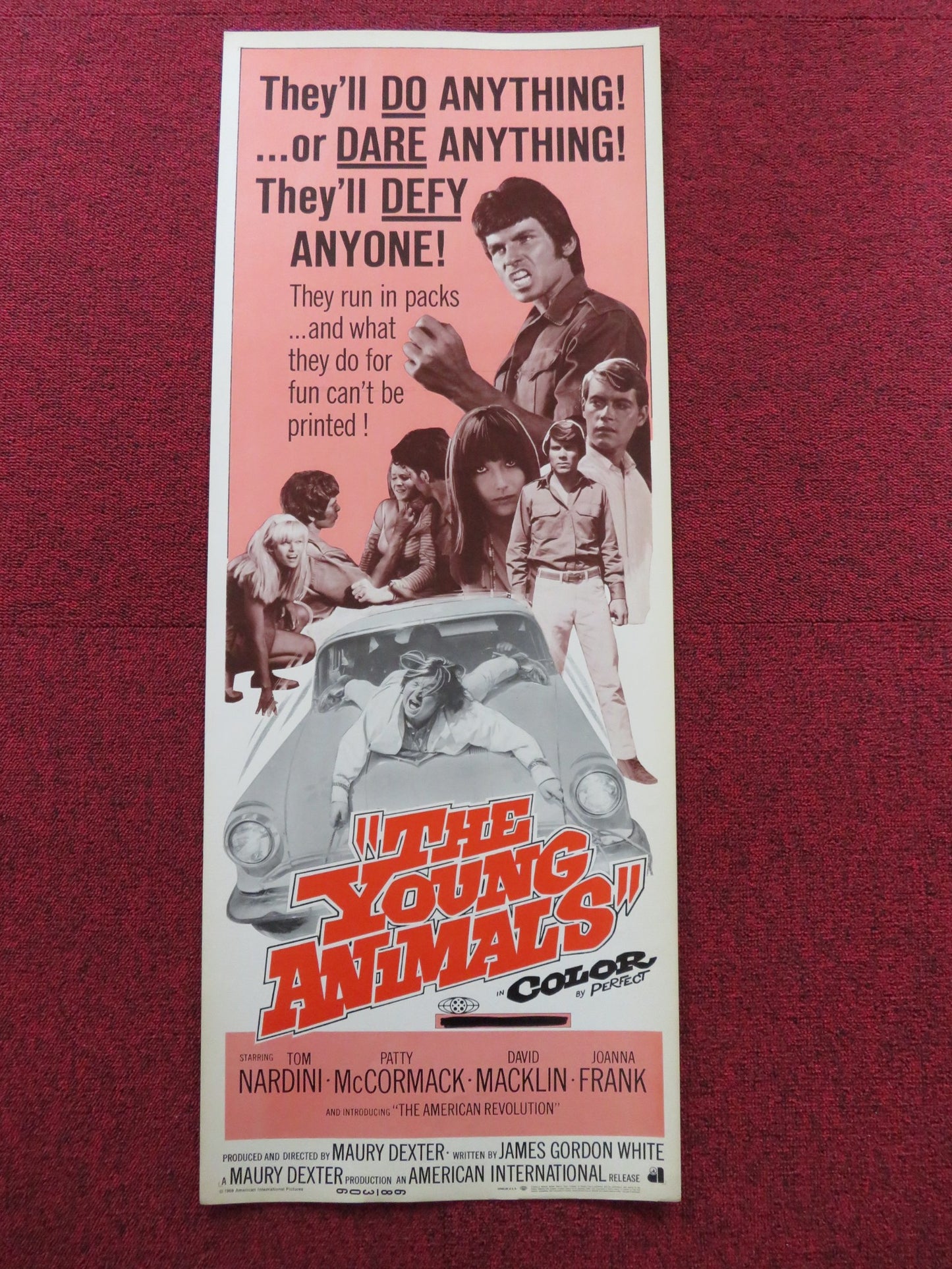 THE YOUNG ANIMALS US INSERT (14"x 36") POSTER TOM NARDINI PATTY MCCORMACK 1968