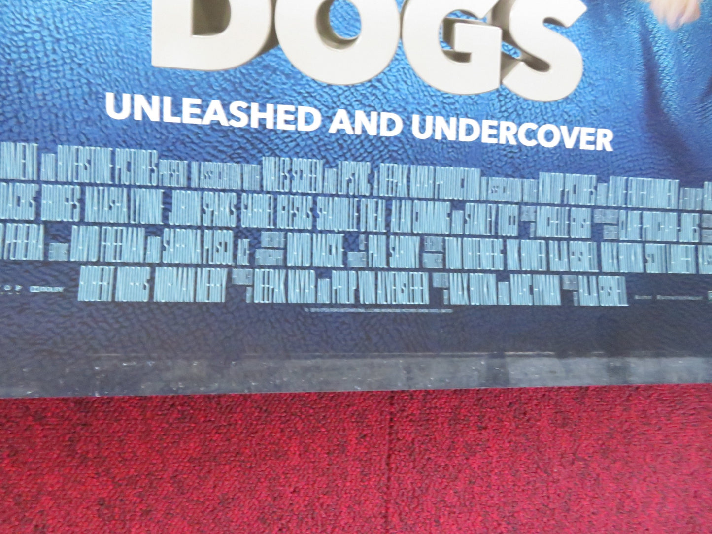 SHOW DOGS US ONE SHEET ROLLED POSTER WILL ARNETT NATASHA LYONNE 2018