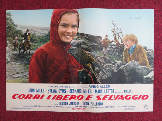 CORRI LIBERO E SELVAGGIO B ITALIAN FOTOBUSTA POSTER JOHN MILLS SYLVIA SYMS 1970