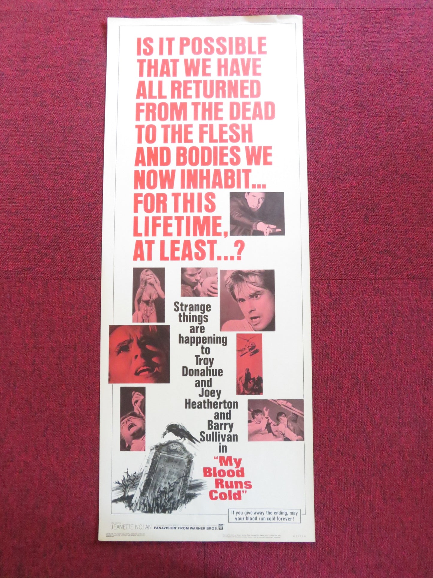 MY BLOOD RUNS COLD US INSERT (14"x 36") POSTER TROY DONAHUE JOEY HEATHERTON 1965