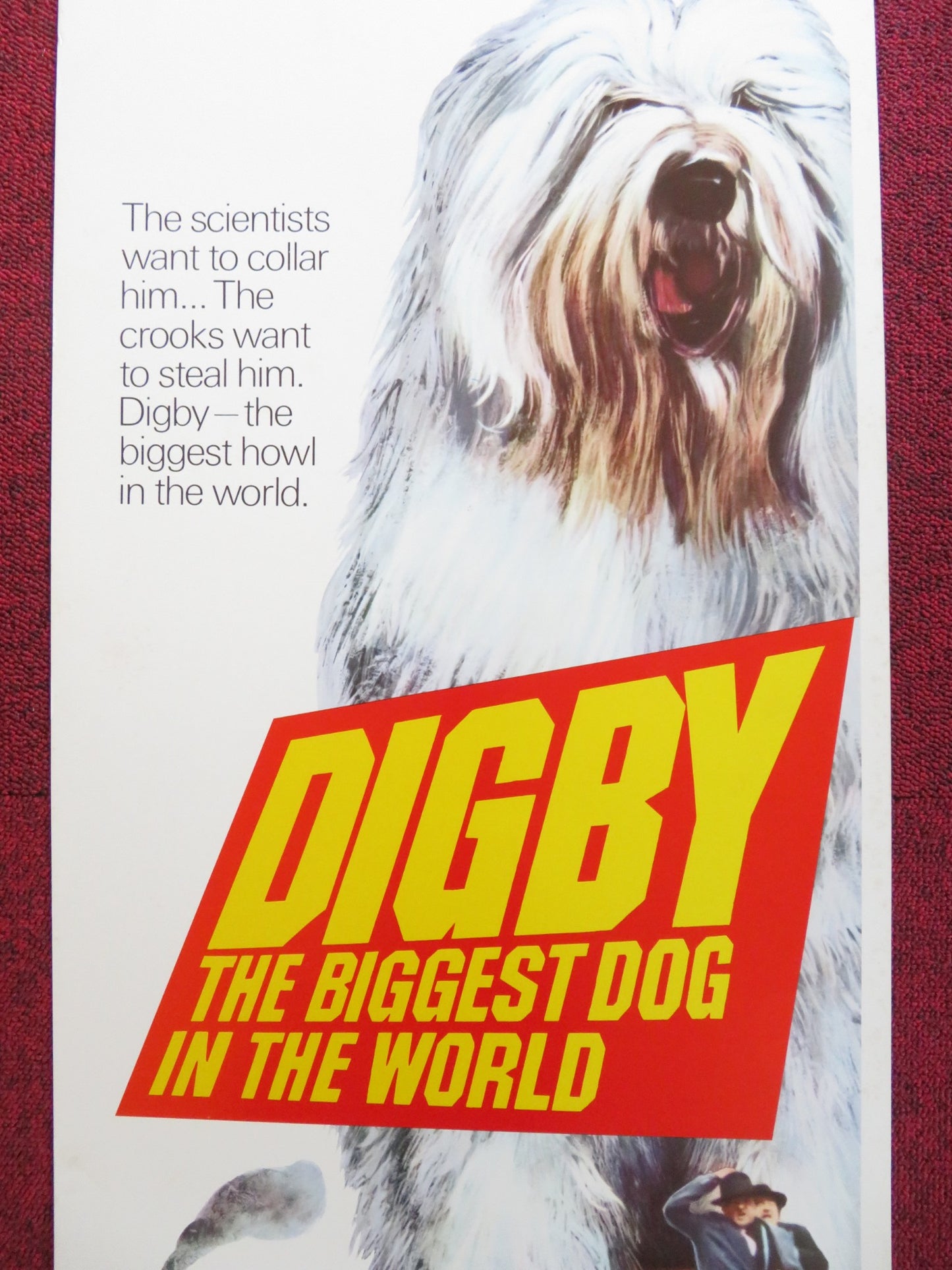 DIGBY: THE BIGGEST DOG IN THE WORLD US INSERT (14"x 36") POSTER JIM DALE 1974