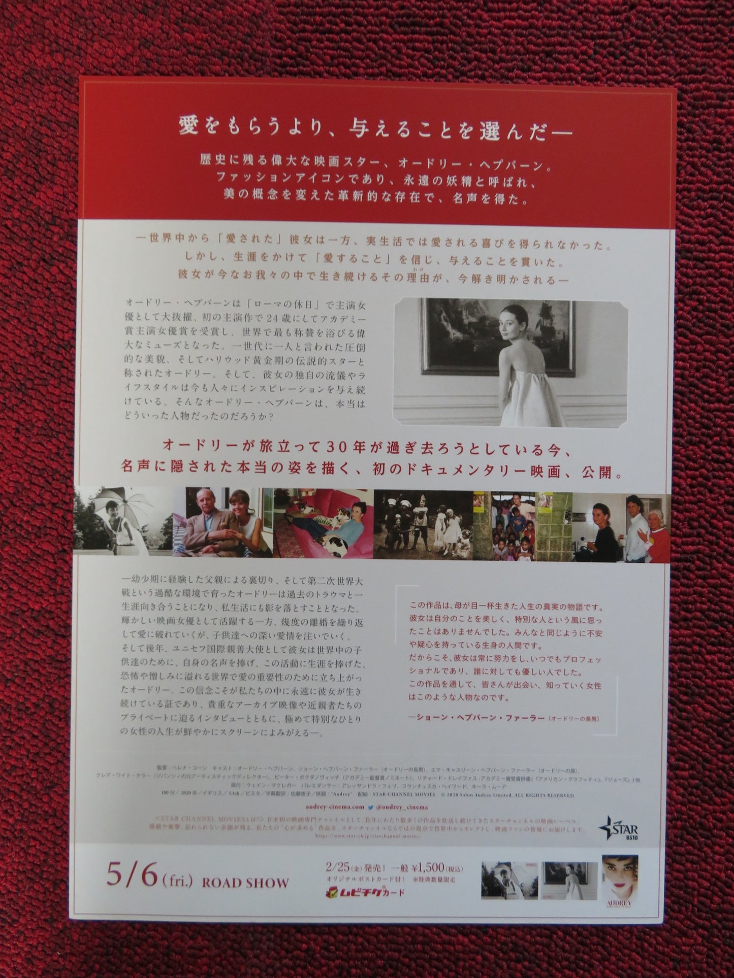 AUDREY JAPANESE CHIRASHI (B5) POSTER AUDREY HEPBURN RICHARD DREYFUSS 2020